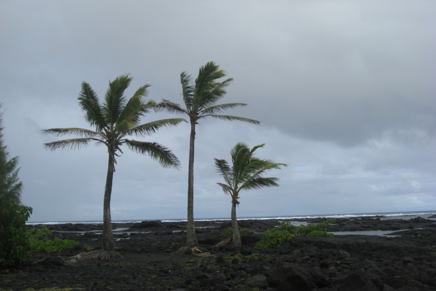 ../image/kapoho tide pools 9.jpg